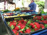 Mallorca_2014-05-03-11-27-06_1