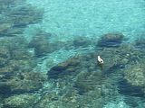 Mallorca_2014-05-03-11-53-34_1