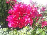 Mallorca_2014-05-04-17-23-39_1