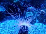 Mallorca_2014-05-07-12-35-03_1
