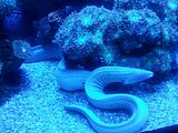 Mallorca_2014-05-07-12-36-44_1