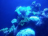 Mallorca_2014-05-07-12-36-57_1