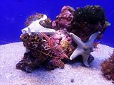 Mallorca_2014-05-07-12-39-35_1