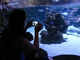 Mallorca_2014-05-07-12-41-20_1