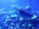 Mallorca_2014-05-07-12-45-31_1