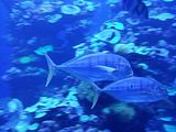 Mallorca_2014-05-07-12-46-06_1
