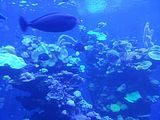 Mallorca_2014-05-07-12-46-51_1