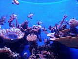 Mallorca_2014-05-07-12-47-32_1
