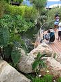 Mallorca_2014-05-07-12-59-26_1