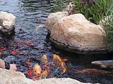 Mallorca_2014-05-07-13-08-46_1