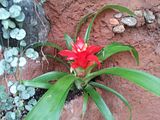 Mallorca_2014-05-07-13-17-04_1
