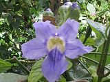 Mallorca_2014-05-07-13-21-32_1