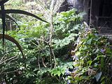 Mallorca_2014-05-07-13-21-58_1