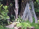 Mallorca_2014-05-07-13-23-04_1