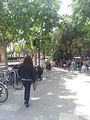 Mallorca_2014-05-07-15-50-01_1